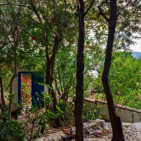 Tekce Knight Island N27 Vilă
